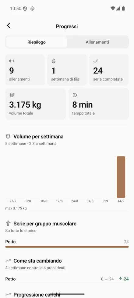 The progress summary: volume, muscle groups, progression.